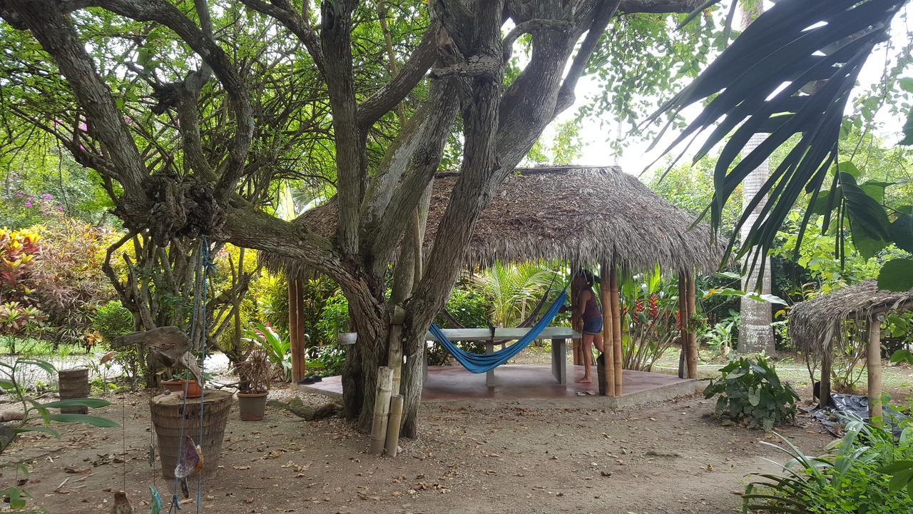 Las Cabanas De La Iguana Ayampe Dış mekan fotoğraf